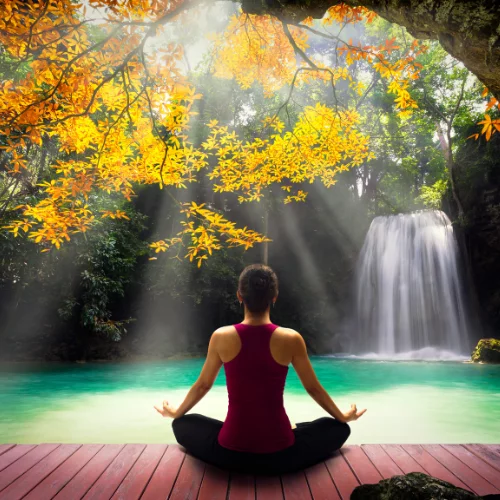 Awakening Jyotishmati - Meditation Program