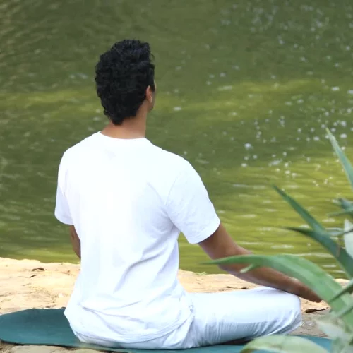 Harnessing Jyotishmati for Personal Fulfillment Meditation Program